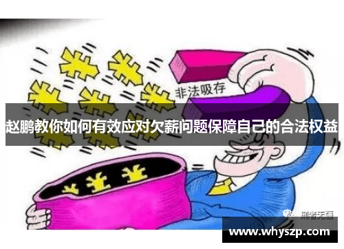 赵鹏教你如何有效应对欠薪问题保障自己的合法权益